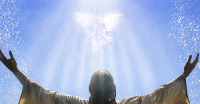 Studies in the Gospel of John