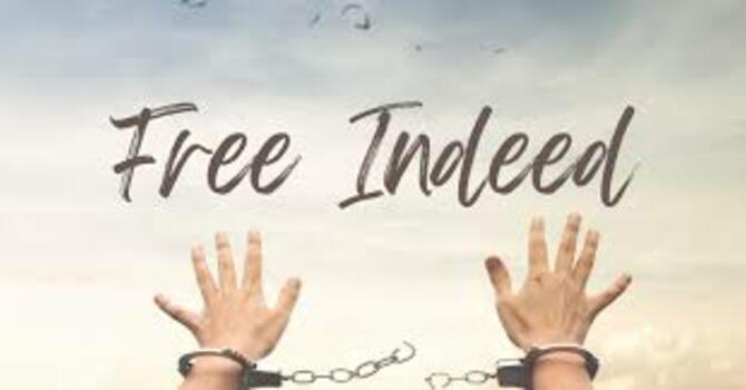 Free Indeed image
