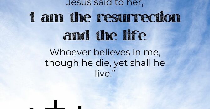 Weekly Verse: John 11:25