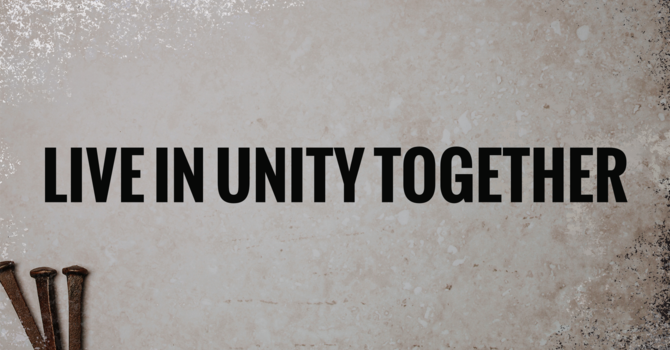 Live In Unity Together