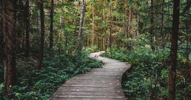 Living from Our Position in Christ: A Journey of Faith and Identity image