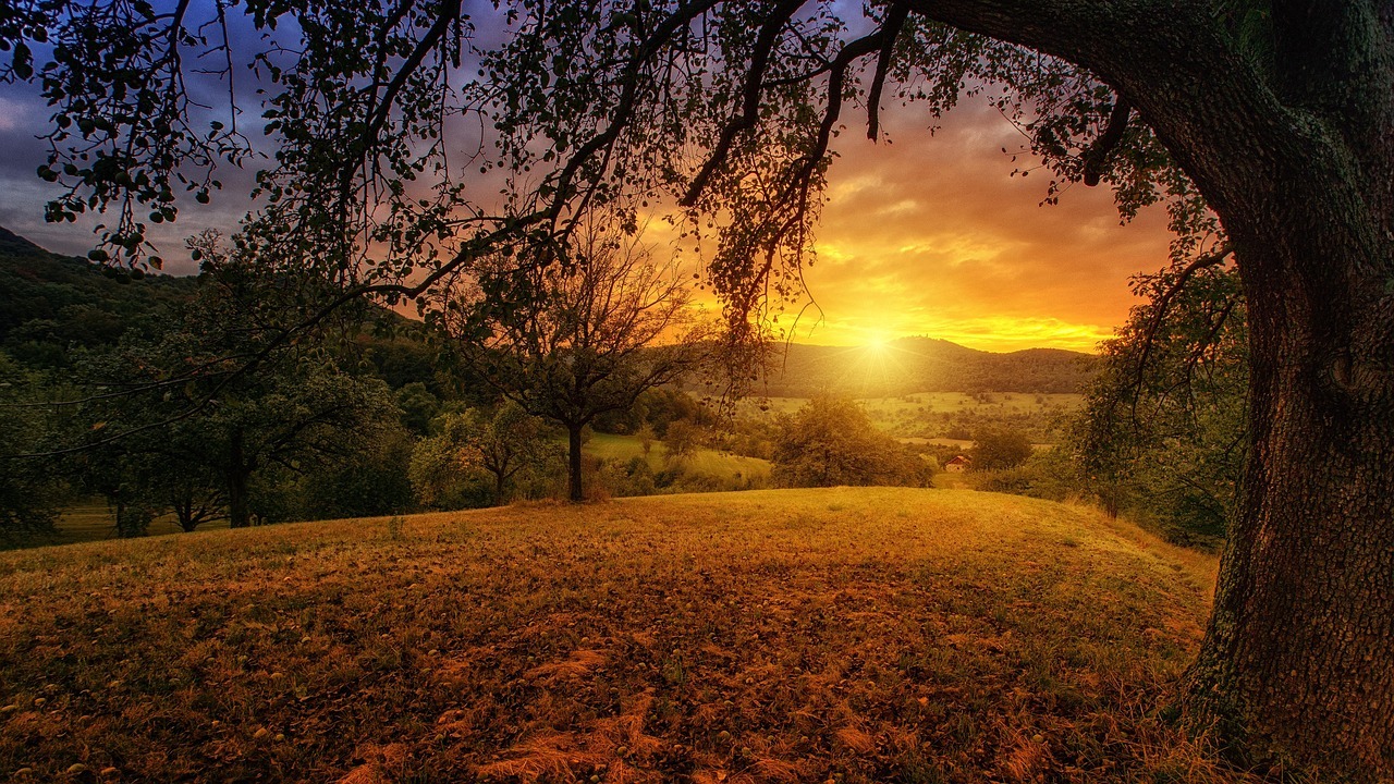 Slideshow image