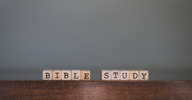 Join a Small Group This Fall! image