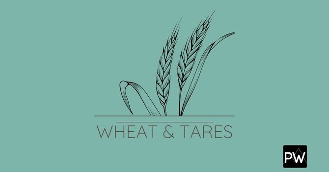 Wheat & Tares image