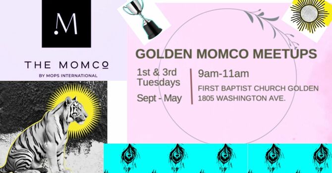 MomCo Meets Here!
