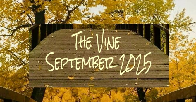 September Vine image