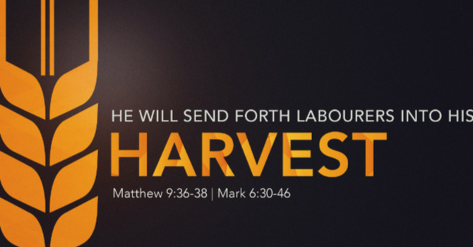 He Will Send Forth Laborers