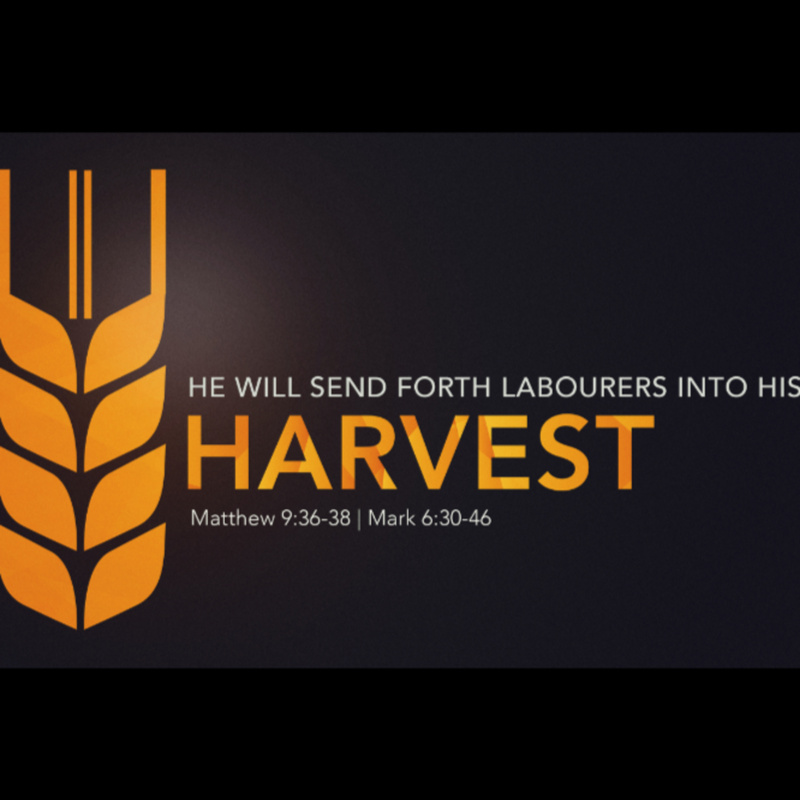 He Will Send Forth Laborers