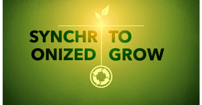 Synchronized To Grow