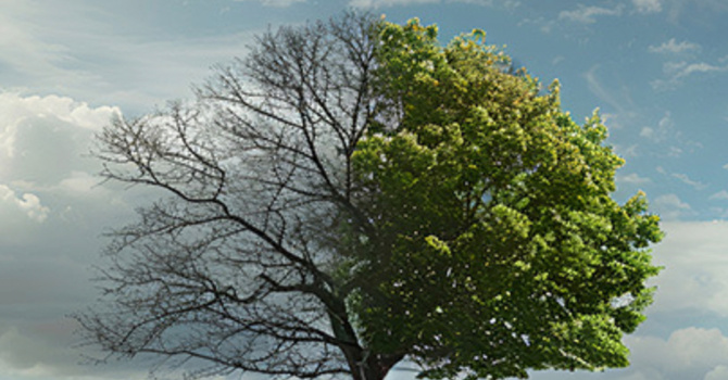 Vision Night | Pastor Bruce Burkett