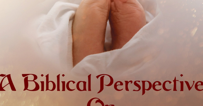 A Biblical Perspective On Life