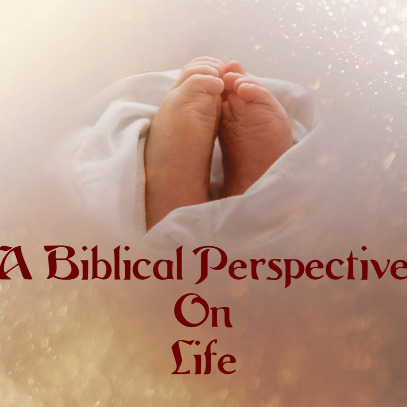 A Biblical Perspective On Life