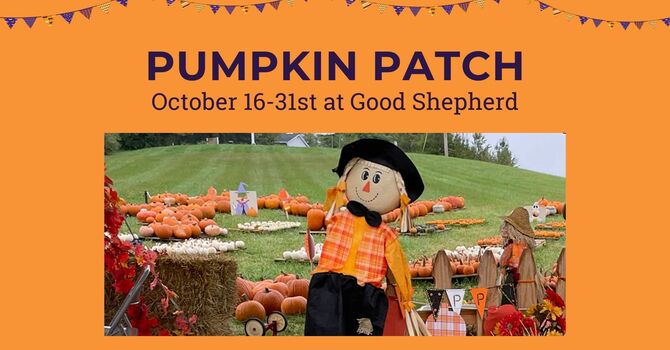 Pumpkin Patch