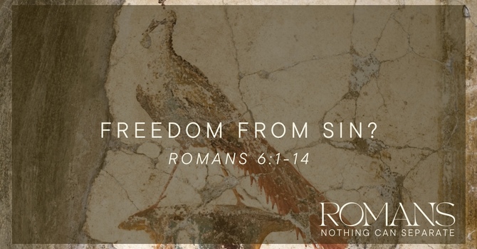 Freedom From Sin?