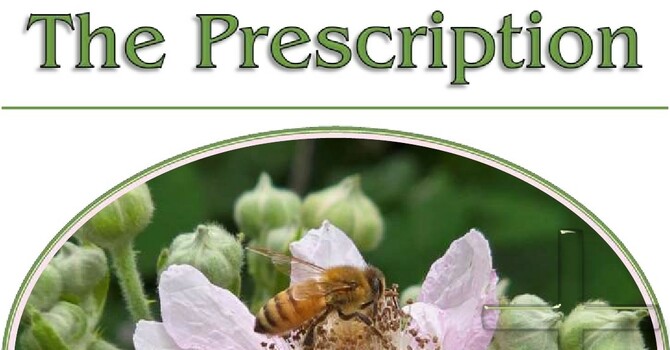 The Summer 2025 Issue of St. Luke's Prescription is Now Available image