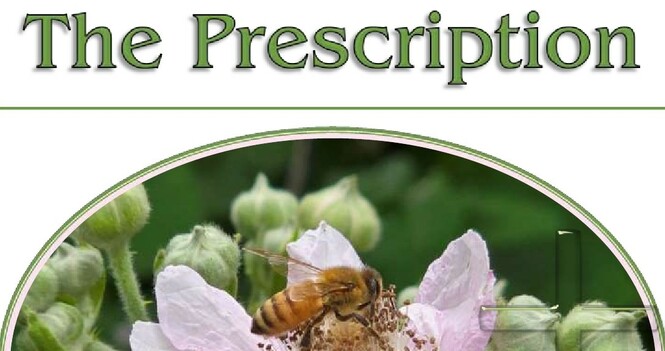 The Summer 2025 Issue of St. Luke's Prescription is Now Available