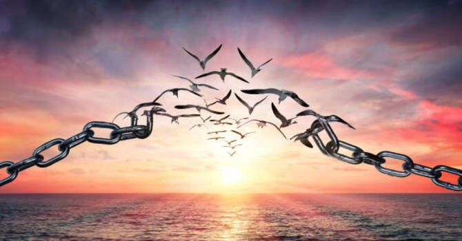More Than a Pardon image