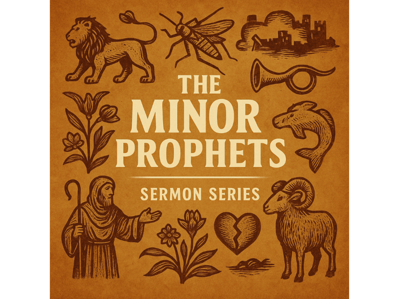 Come Back to Me: Zechariah