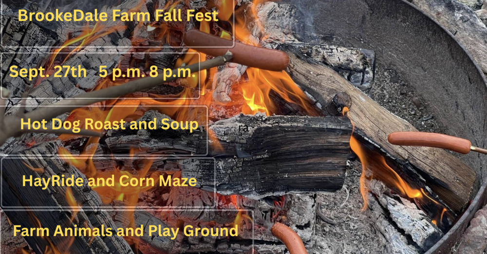  Fall Fest