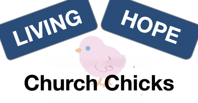Church Chicks Serve
