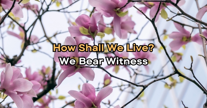 We Bear Witness