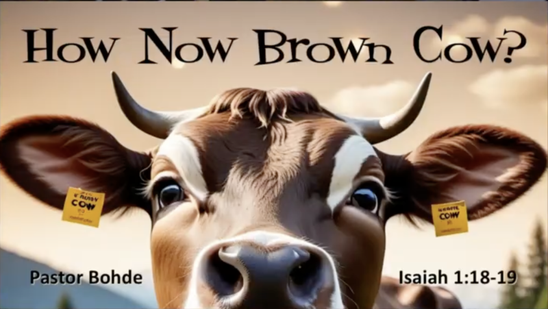 "How Now Brown Cow?"