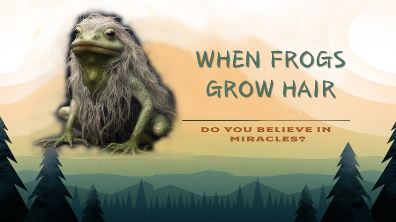 When Frogs Grow Hair Part 1
