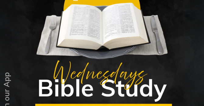 Bible Study 