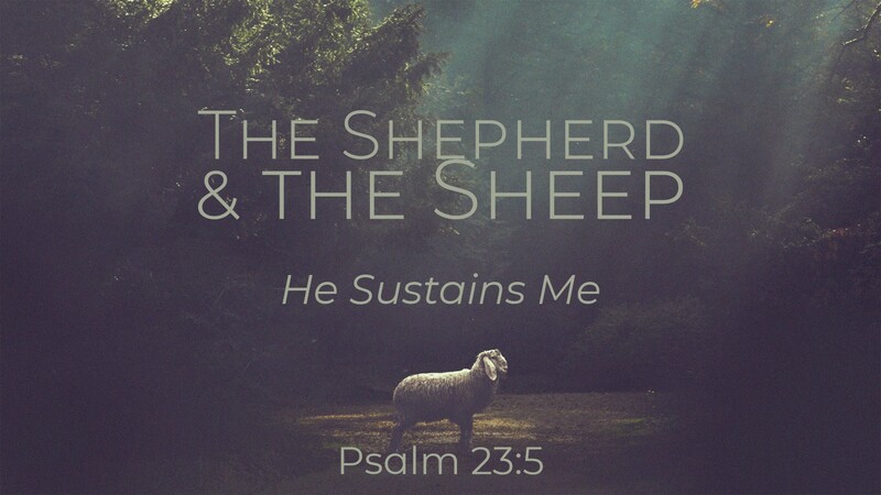 "The Shepherd & the Sheep | He Sustains Me"