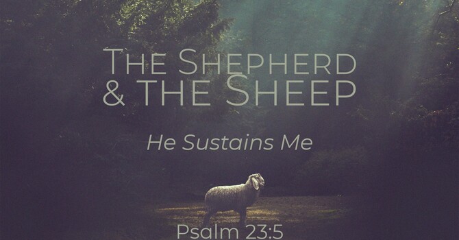 "The Shepherd & the Sheep | He Sustains Me"