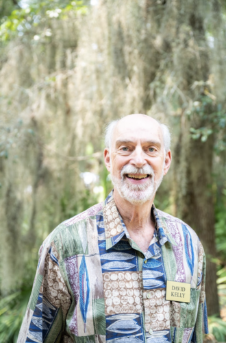 David Kelly