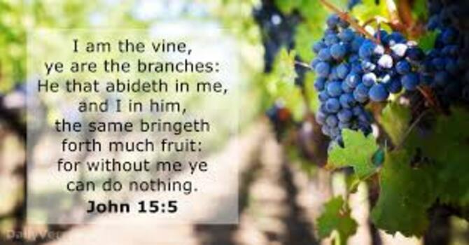 John 15:1-14