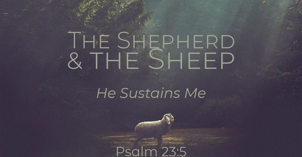 "The Shepherd & the Sheep | He Sustains Me"