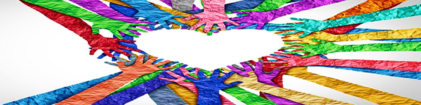 THE WIDER COMMUNITY