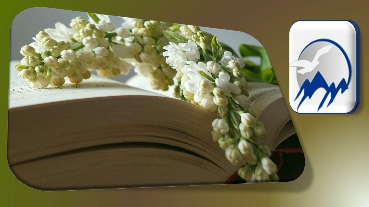 Slideshow image