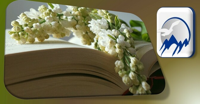 Book Study Group