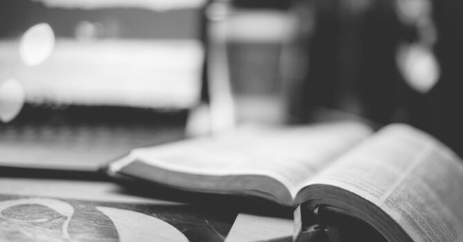 Beyond the Milk Bible Study