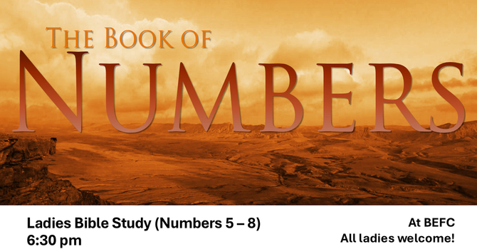 Ladies Bible Study