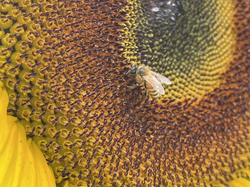 "Great Gifts Mean Great Responsibilities"