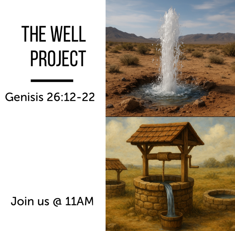 The Well Project