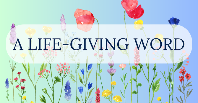 Weekly Newsletter