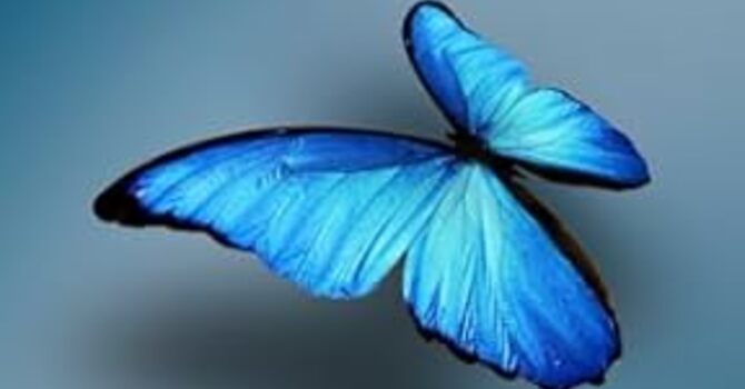 Transformed By Truth