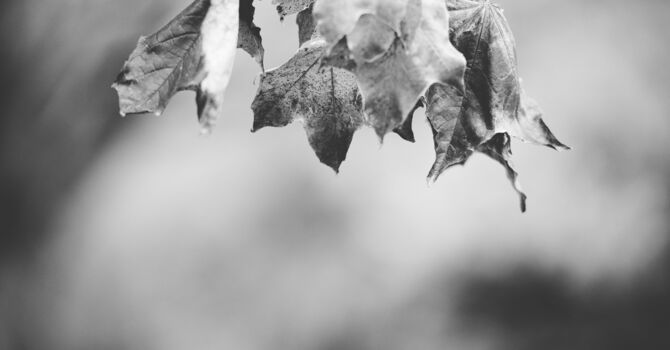 God’s Steadfast Love