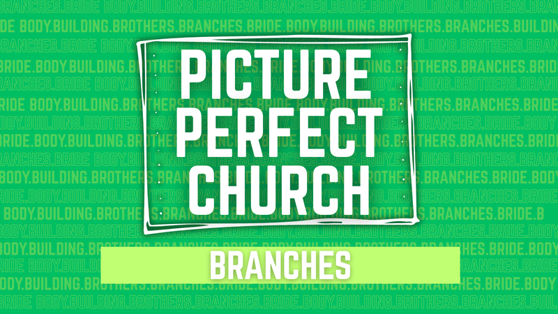 Branches