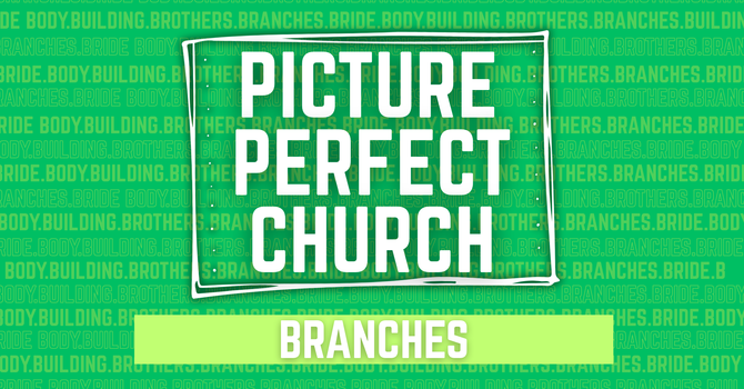 Branches