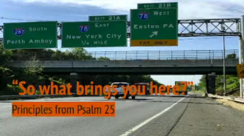 So what brings you here?