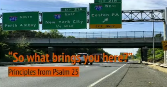 So what brings you here?