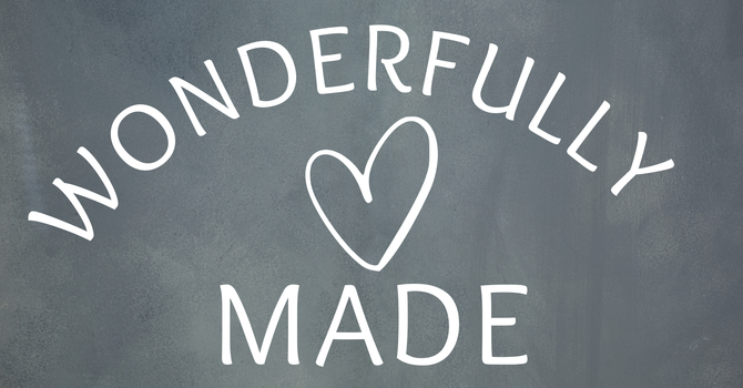 Wonderfully Made 