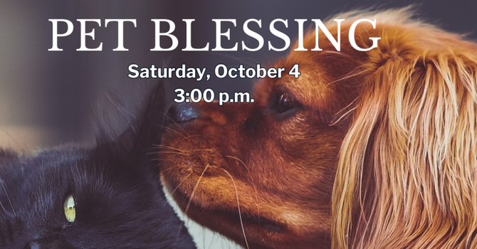 Pet Blessing
