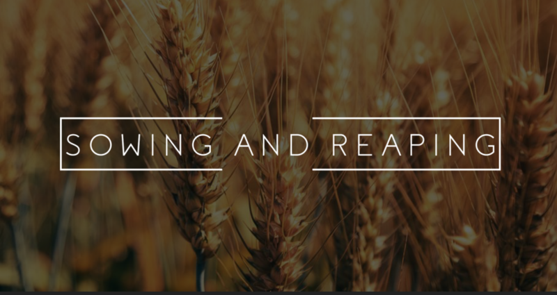 What I Sow is What I will Reap